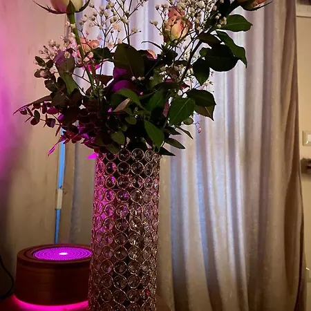 Space Sensory & Relax Bed & Breakfast